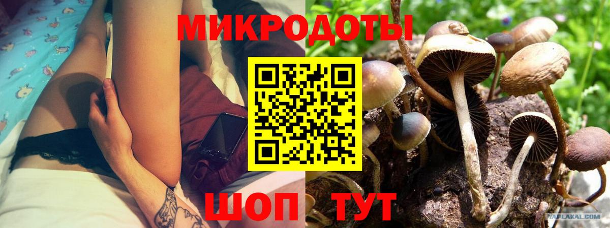 Псилоцибиновые грибы мицелий  Вход с VPN  Кропоткин 